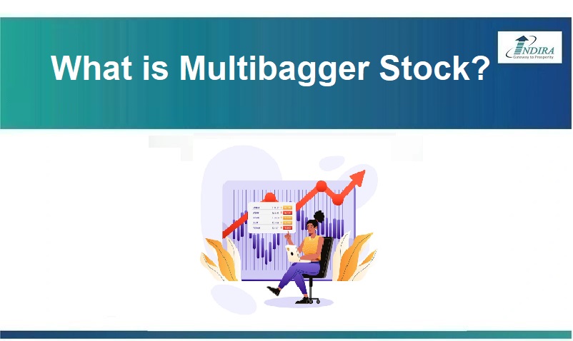 What is Multibagger Stock?